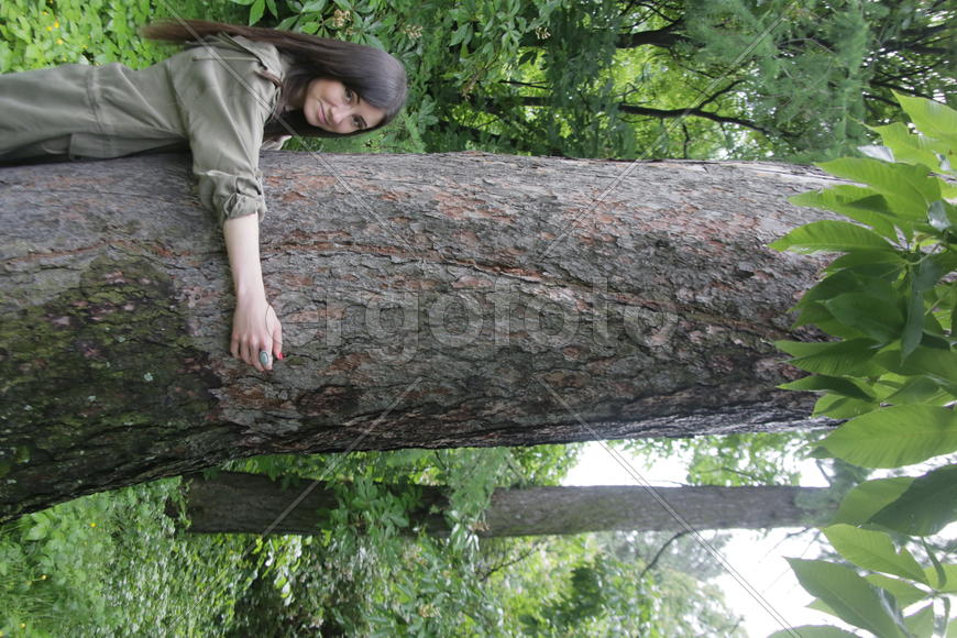 300-летняя лиственница. Девушка позирует у ствола дерева 