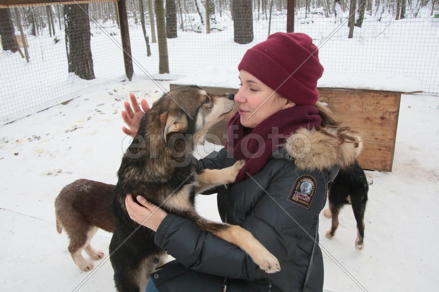 Московский художник-каллиграф Анна Коротеева с щенком Хаски по кличе Рыжик в парке Хаски в парке Сок