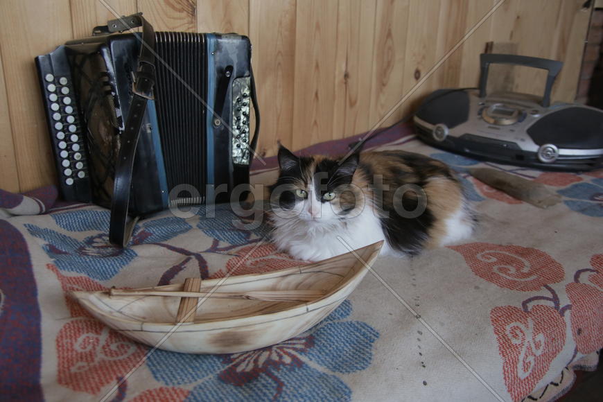 Колыбель русского флота село Дединово. Россия 