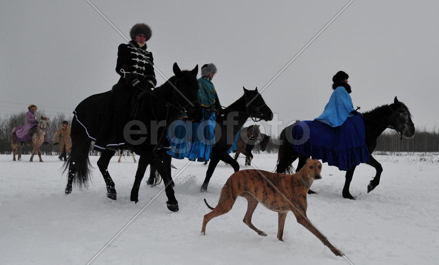 Реконструкция конной охоты с тремя борзыми и одной гончей в клубе Аванпост. фйото Сергей Шахиджанян 