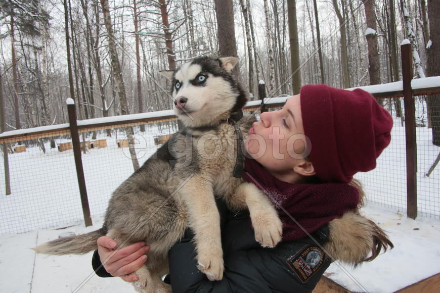 Московский художник-каллиграф Анна Коротеева с щенком Хаски по кличе Клёпа в парке Хаски в парке Сок