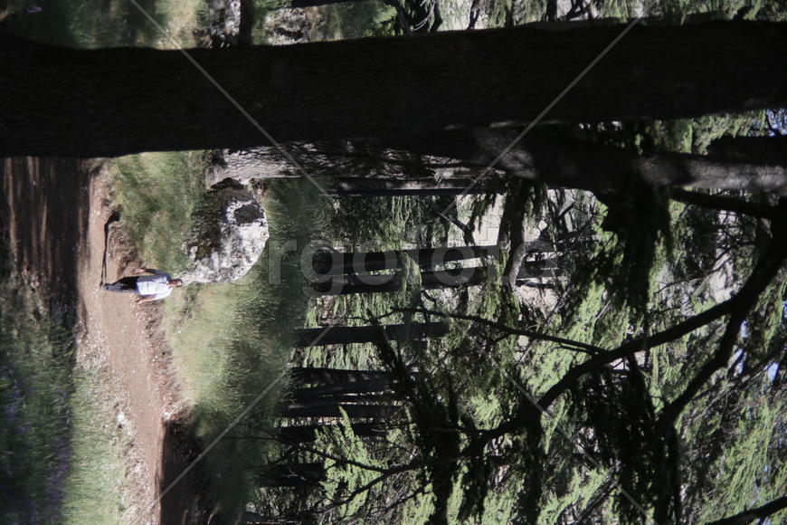 Туристические маршруты Ливана в горной местности 