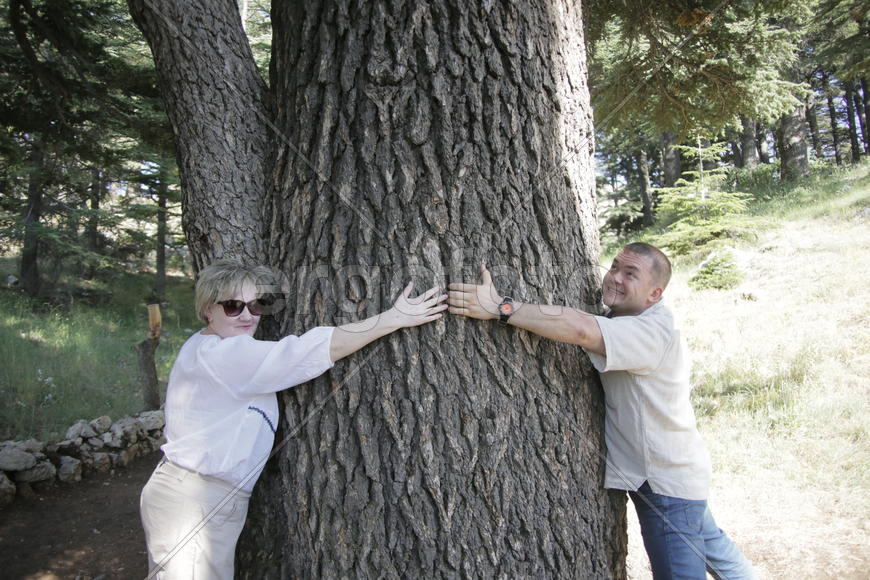 Туристические маршруты Ливана в горной местности. Туристы у многовекового дерева 