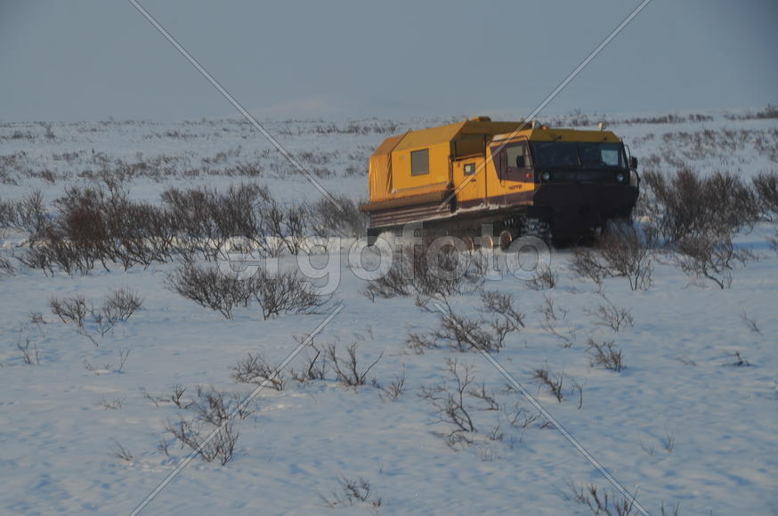Ямало-ненецкий  автономный округ. Город Салехард, поселок Лабытнанги. фото Сергей Шахиджанян. 