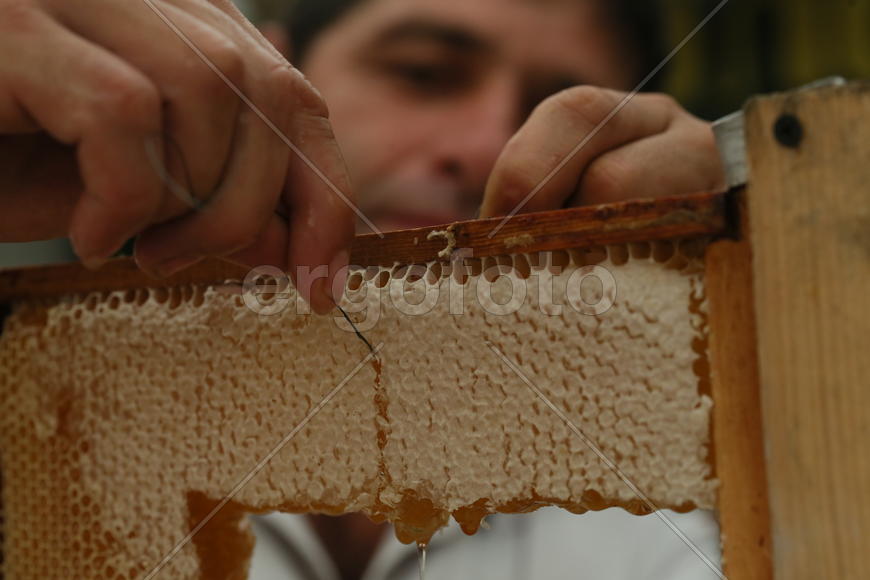 Всероссийская ярмарка меда в Коломенском