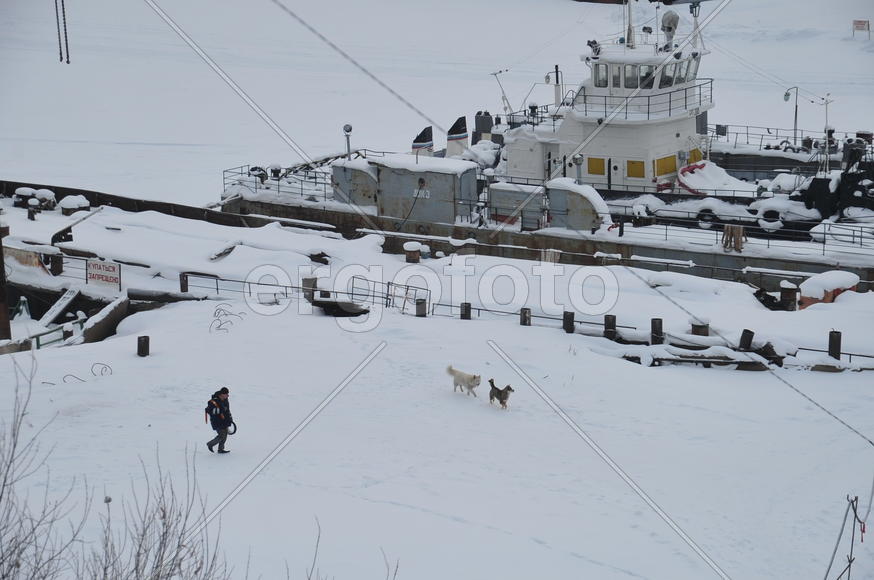 ¬иды на реку ќбь и порт. ямало-ненецкий  автономный округ. √ород —алехард, поселок Ћабытнанги. фото 