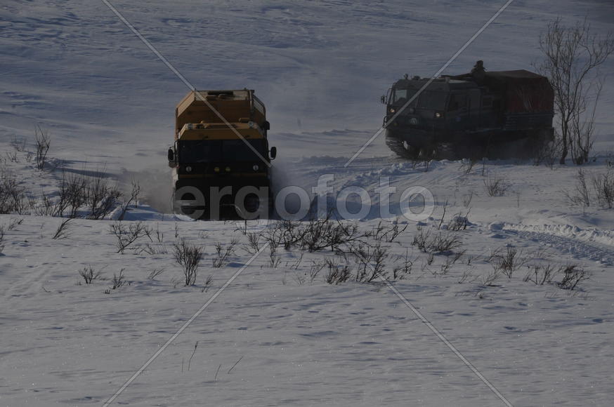 Тундра. Остатки цементного завода бывшей колонии. Ямало-ненецкий  автономный округ. Город Салехард, 
