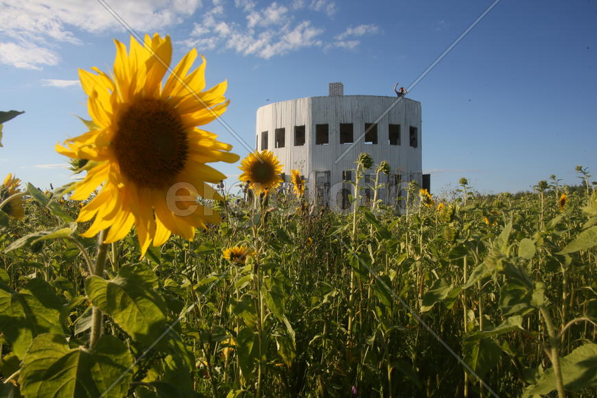 Ротонда, автор Александр Бродский