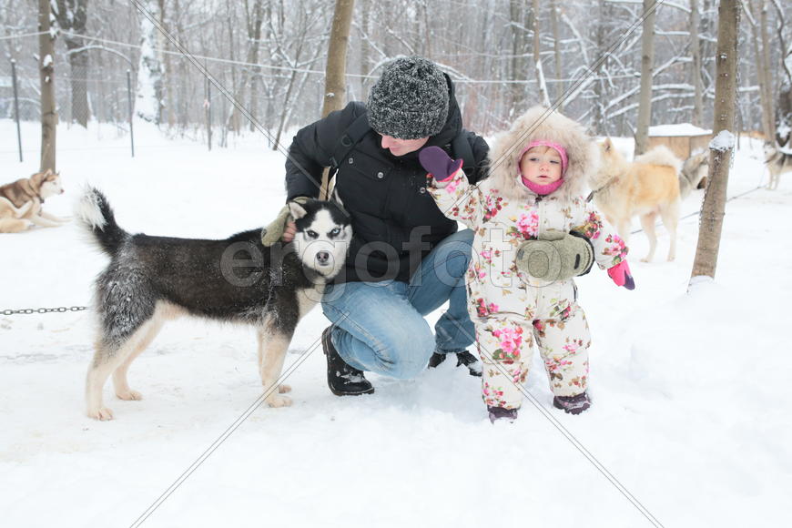 Папа Дмитрий Кухарчук с двухлетней дочерью Светланой Кухарчук и молодым хаски по кличке Верный