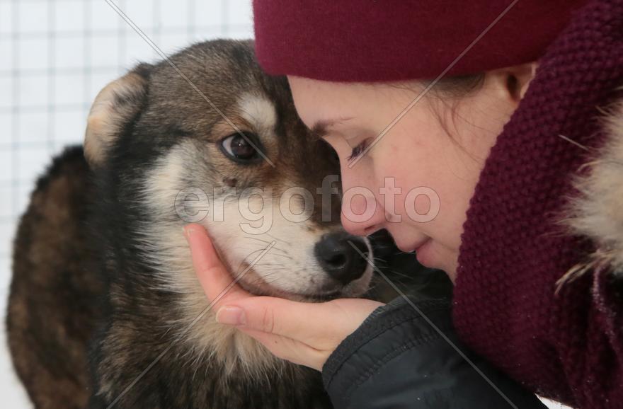 Московский художник-каллиграф Анна Коротеева с щенком Хаски по кличе Рыжик в парке Хаски в парке Сок