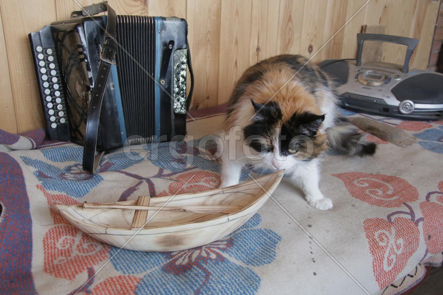 Колыбель русского флота село Дединово. Россия 