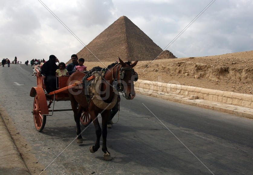 Пирамиды, люди и лошадь