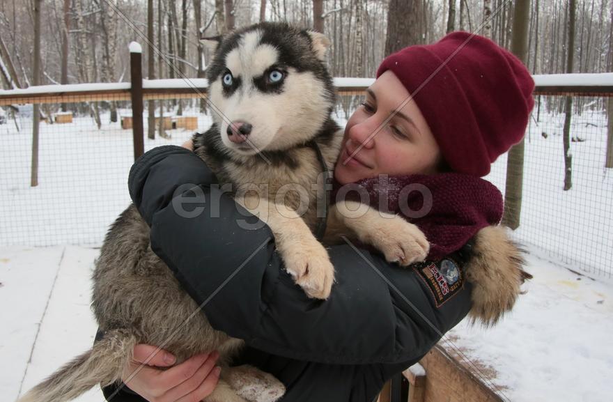 Московский художник-каллиграф Анна Коротеева с щенком Хаски по кличе Клёпа в парке Хаски в парке Сок
