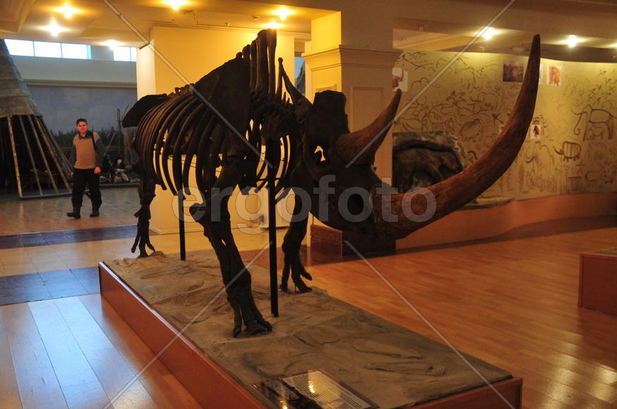 Краеведческий музей. Салехард. Ямало-ненецкий  автономный округ. Город Салехард, поселок Лабытнанги.