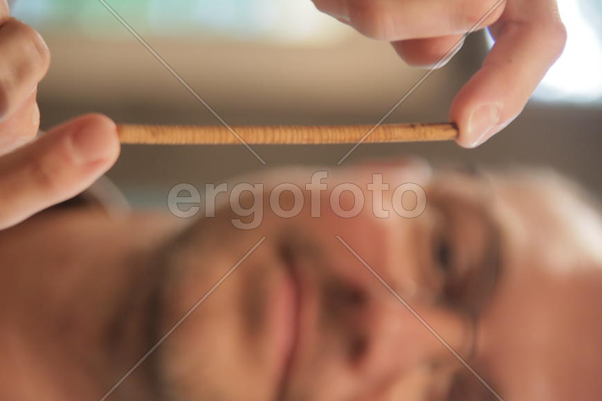 Ветка 300-летней лиственницы в руках