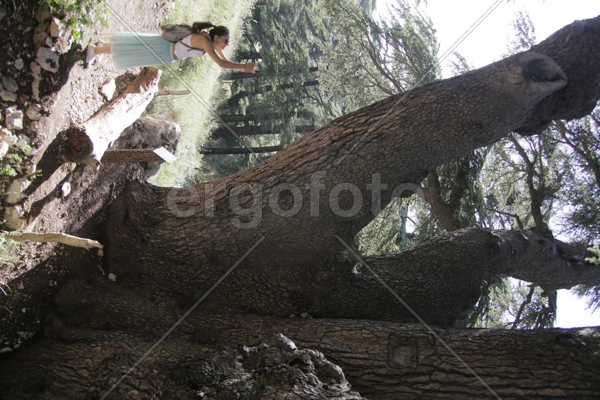 Туристические маршруты Ливана в горной местности 