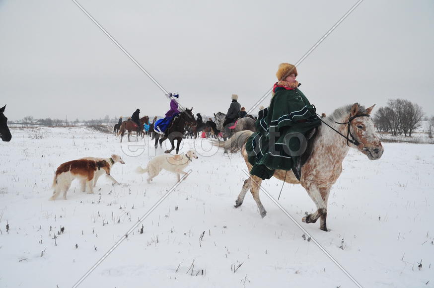 Реконструкция конной охоты с тремя борзыми и одной гончей в клубе Аванпост. фйото Сергей Шахиджанян 