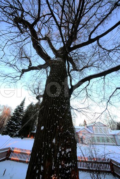 Музей-усадьба Абрамцево 16