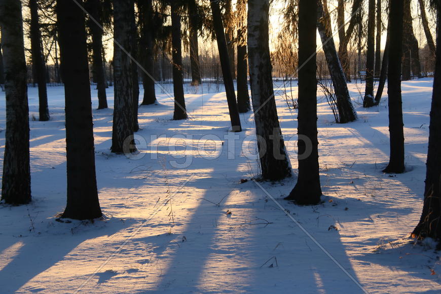 Музей-усадьба Абрамцево 24