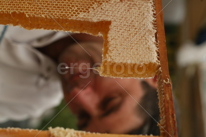 Всероссийская ярмарка меда в Коломенском