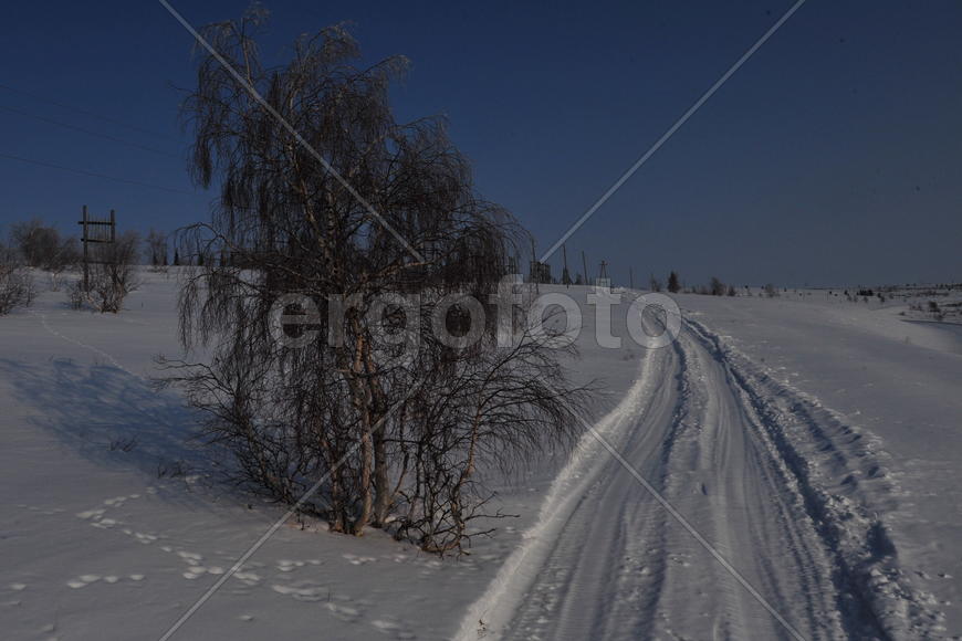 Тундра. Остатки цементного завода бывшей колонии. Ямало-ненецкий  автономный округ. Город Салехард, 