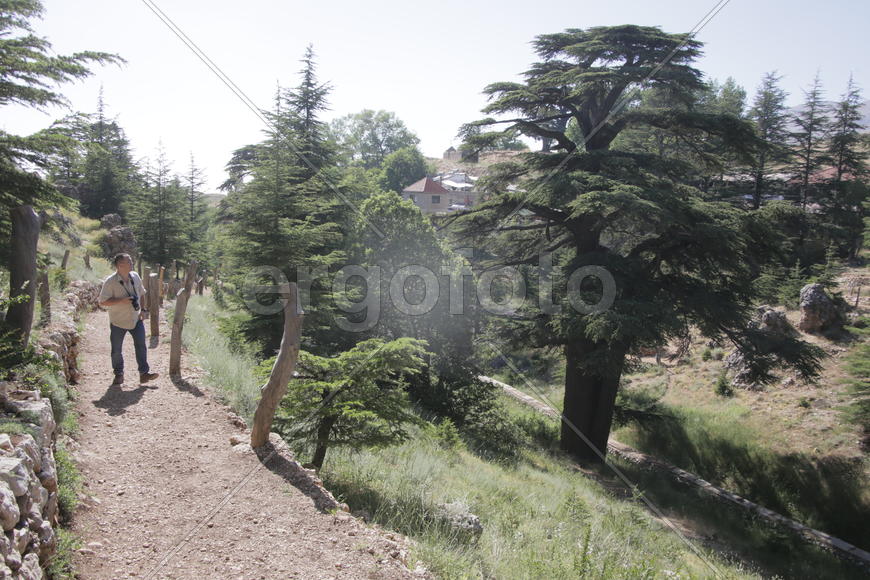 Туристические маршруты Ливана в горной местности 