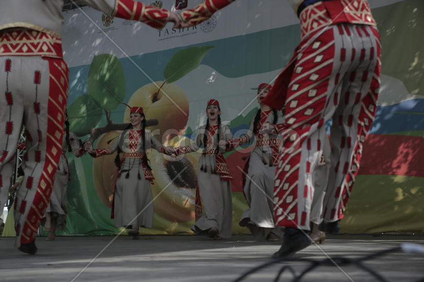 Ансамбль "Цветы Армении",. Праздник "Абрикос" в парке Музеон, 10 июля 2016 года. 