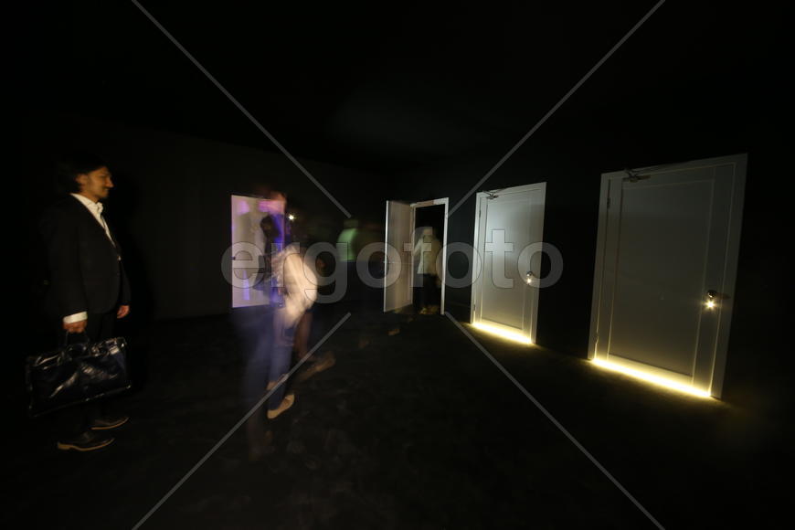 выставка гибридного искусства Lexus Hybrid Art