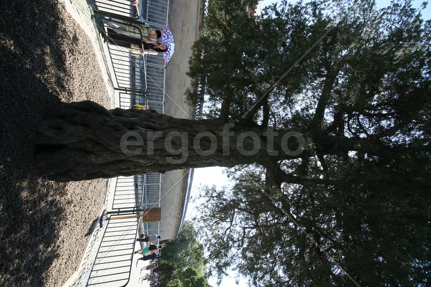 Храм Неба в Пекине