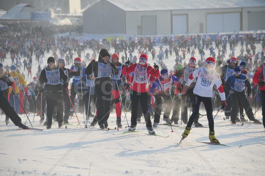 Лыжная гонка Лыжня-России-2012 в подмосковной Яхроме. фото Сергей Шахиджанян 12 февраля 2012 года. 