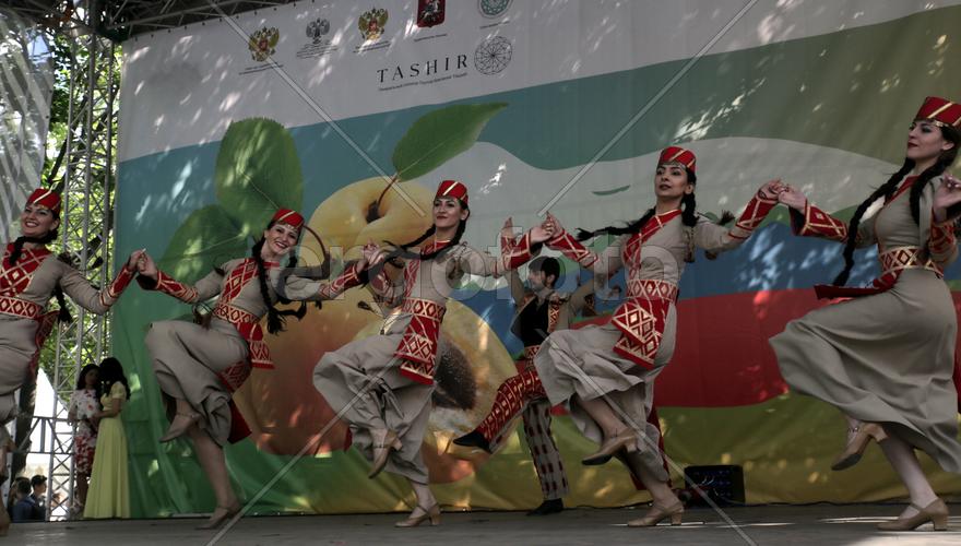 Ансамбль "Цветы Армении",. Праздник "Абрикос" в парке Музеон, 10 июля 2016 года. 