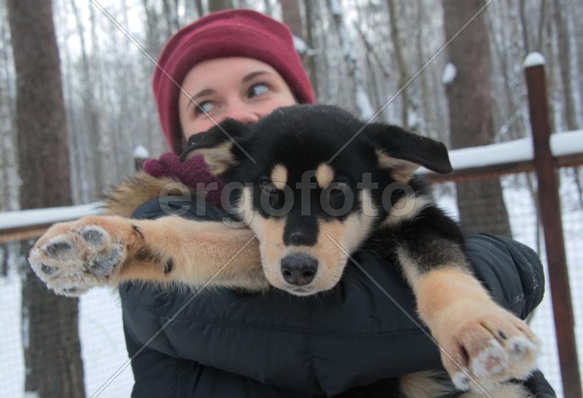 Московский художник-каллиграф Анна Коротеева с щенком Хаски по кличе Рыжик в парке Хаски в парке Сок