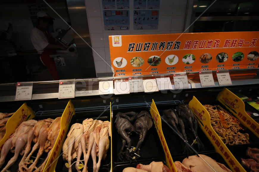 Пекин. Курицы-утки