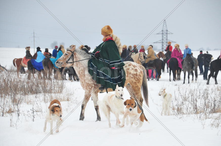 Реконструкция конной охоты с тремя борзыми и одной гончей в клубе Аванпост. фйото Сергей Шахиджанян 