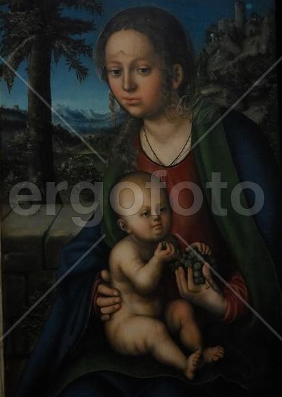 "Мадонна и младенец с гроздью винограда", Лукас Кранах Старший. , 1510. Выставка в ГМИИ им.Пушкина"