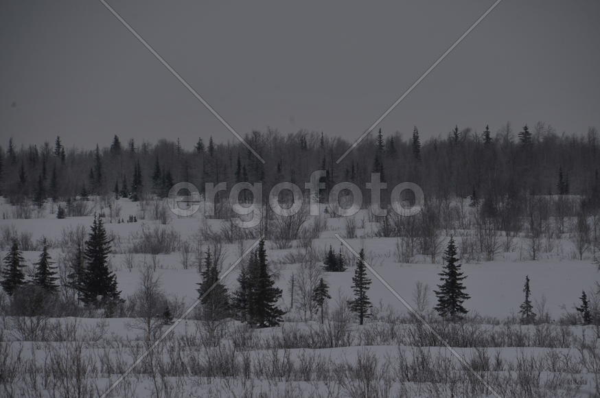 Памятный знак Полярный круг. Ямало-ненецкий  автономный округ. Город Салехард, поселок Лабытнанги. ф