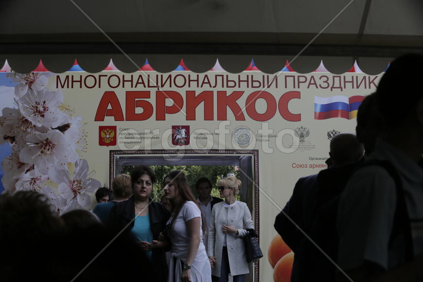 Праздник "Абрикос" в парке Музеон, 10 июля 2016 года. 