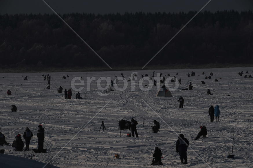 Конкурс Народная рыбалка в Подмосковье 5