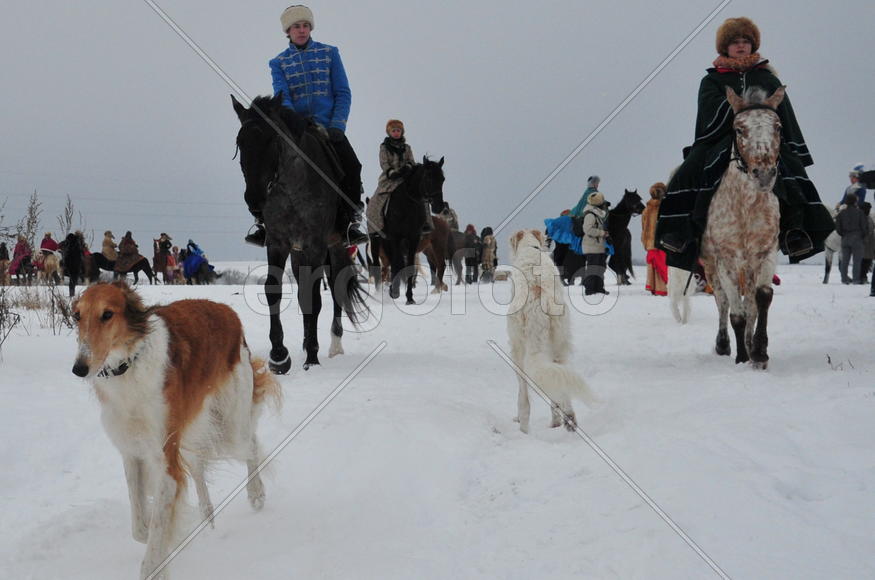 Реконструкция конной охоты с тремя борзыми и одной гончей в клубе Аванпост. фйото Сергей Шахиджанян 