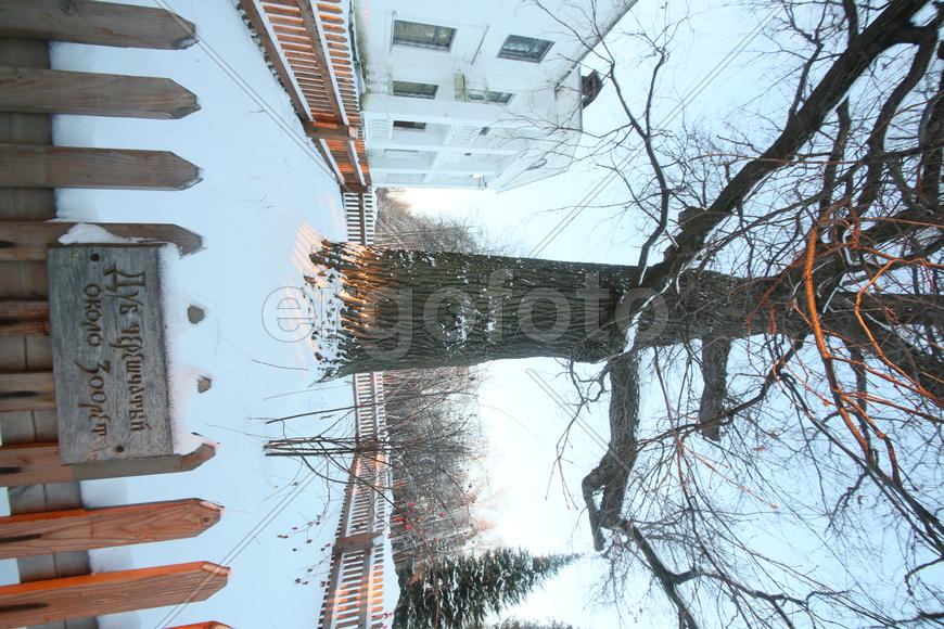 Музей-усадьба Абрамцево 19