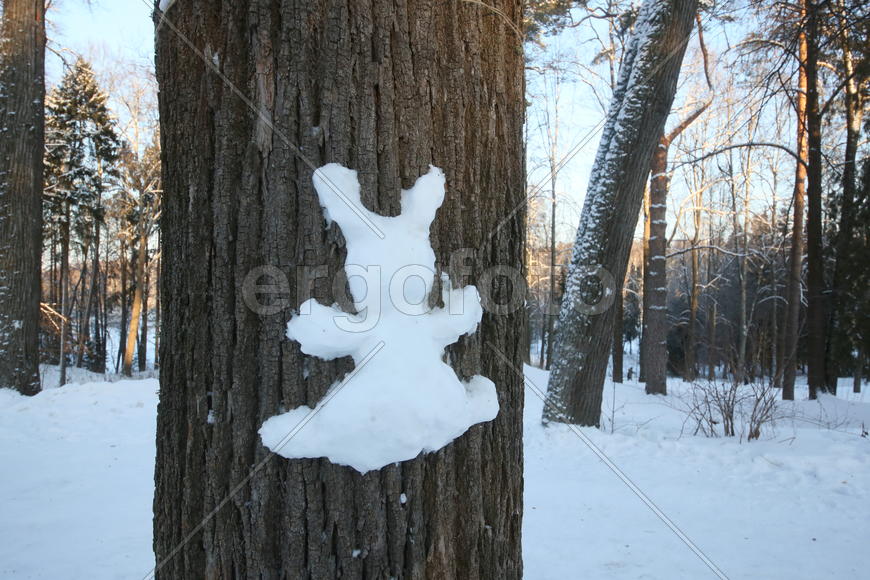 Музей-усадьба Абрамцево 40