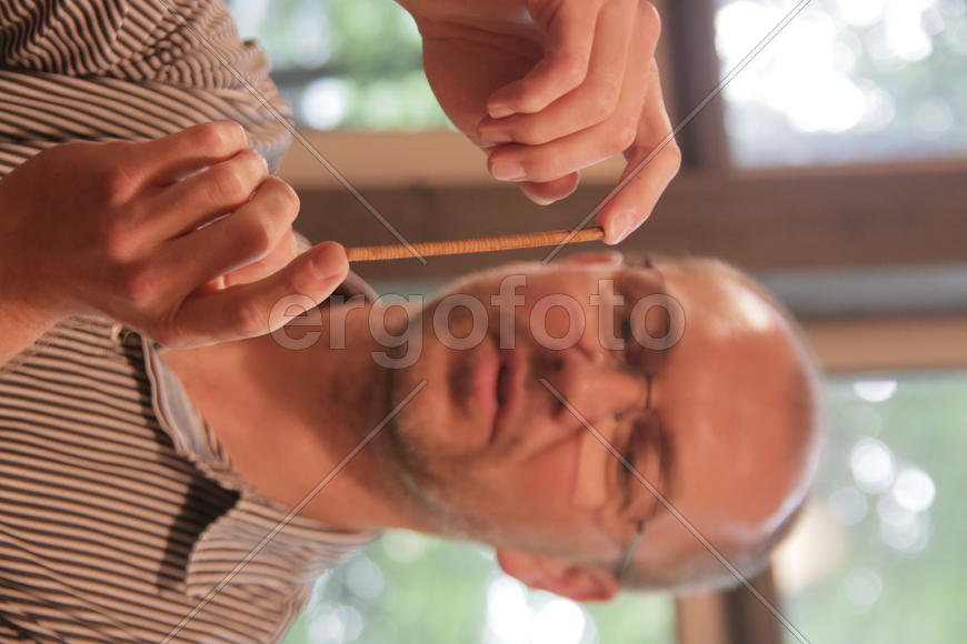 Ветка 300-летней лиственницы в руках