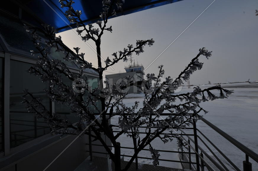 Аэропорт Салехард. Ямало-ненецкий  автономный округ. Город Салехард, поселок Лабытнанги. фото Сергей