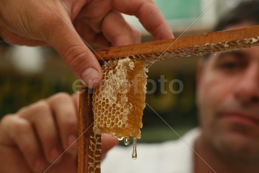 Всероссийская ярмарка меда в Коломенском