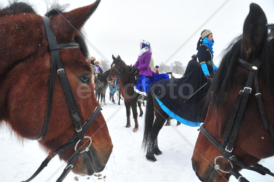 Реконструкция конной охоты с тремя борзыми и одной гончей в клубе Аванпост. фйото Сергей Шахиджанян 