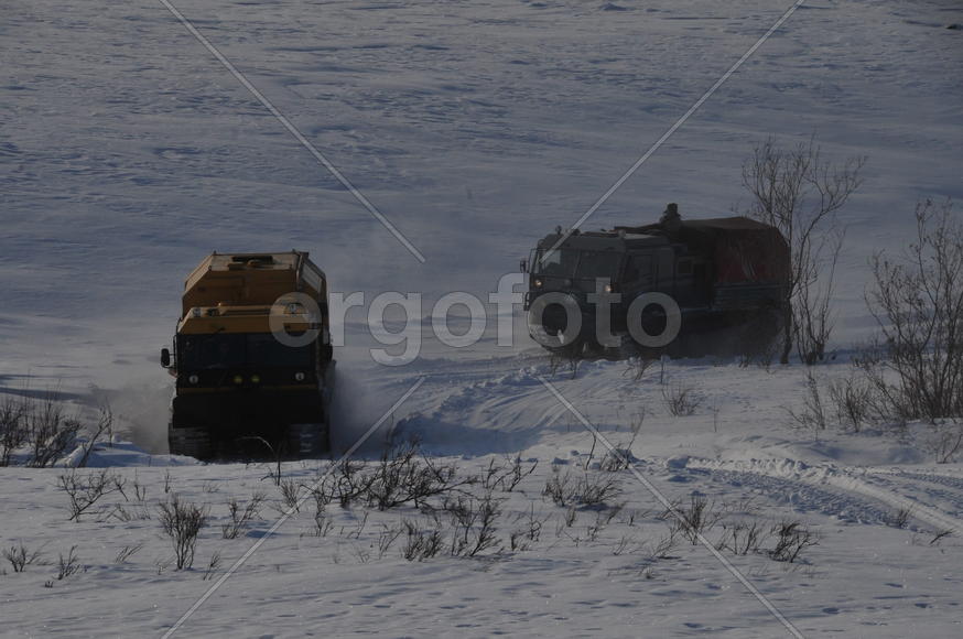 Тундра. Остатки цементного завода бывшей колонии. Ямало-ненецкий  автономный округ. Город Салехард, 