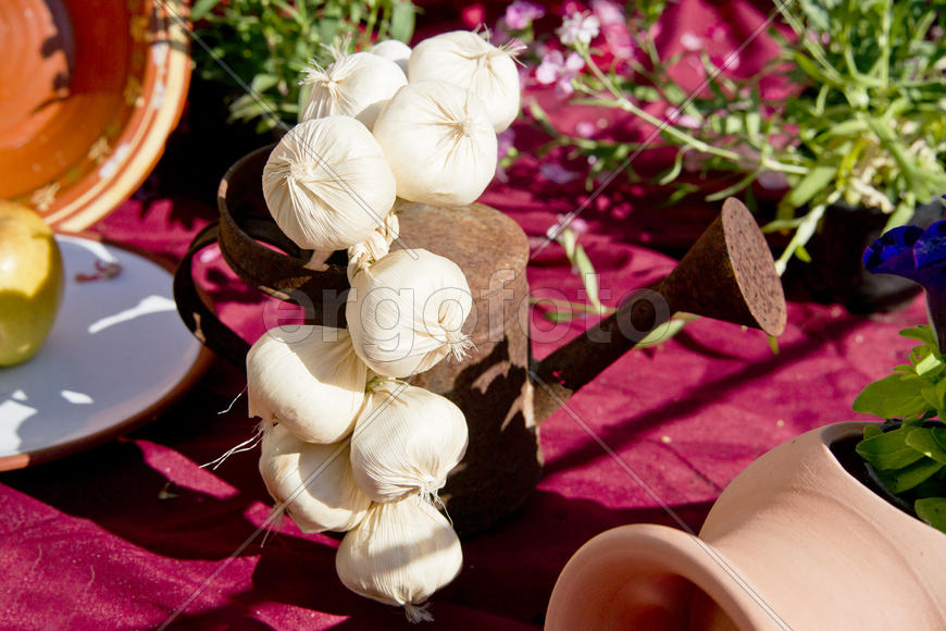 Фрагмент инсталляции на улице Кордобы