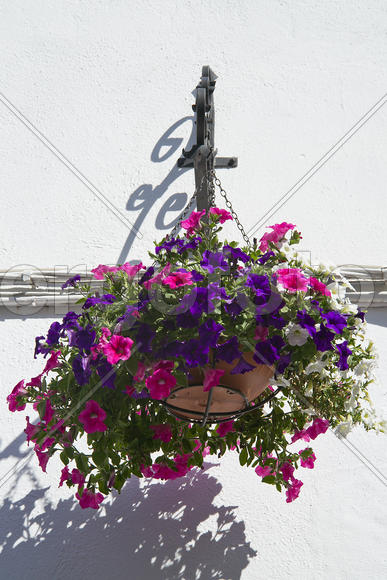 Фестиваль двориков, Кордоба