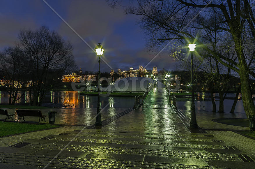 Ночное Цырицыно