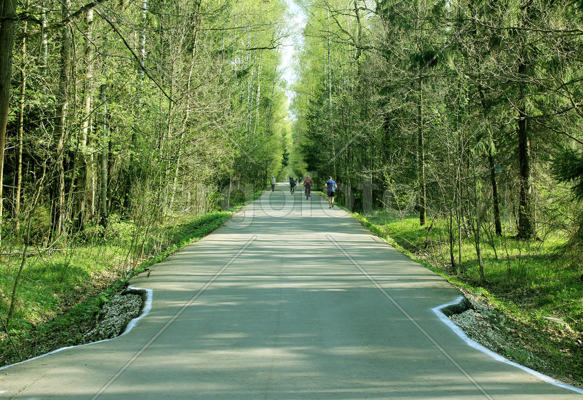 Прогулка на лосином острове